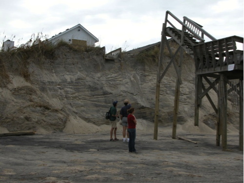 Система дюн для выращивания на пляже в Оушен-Сити, штат Нью-Джерси, США
